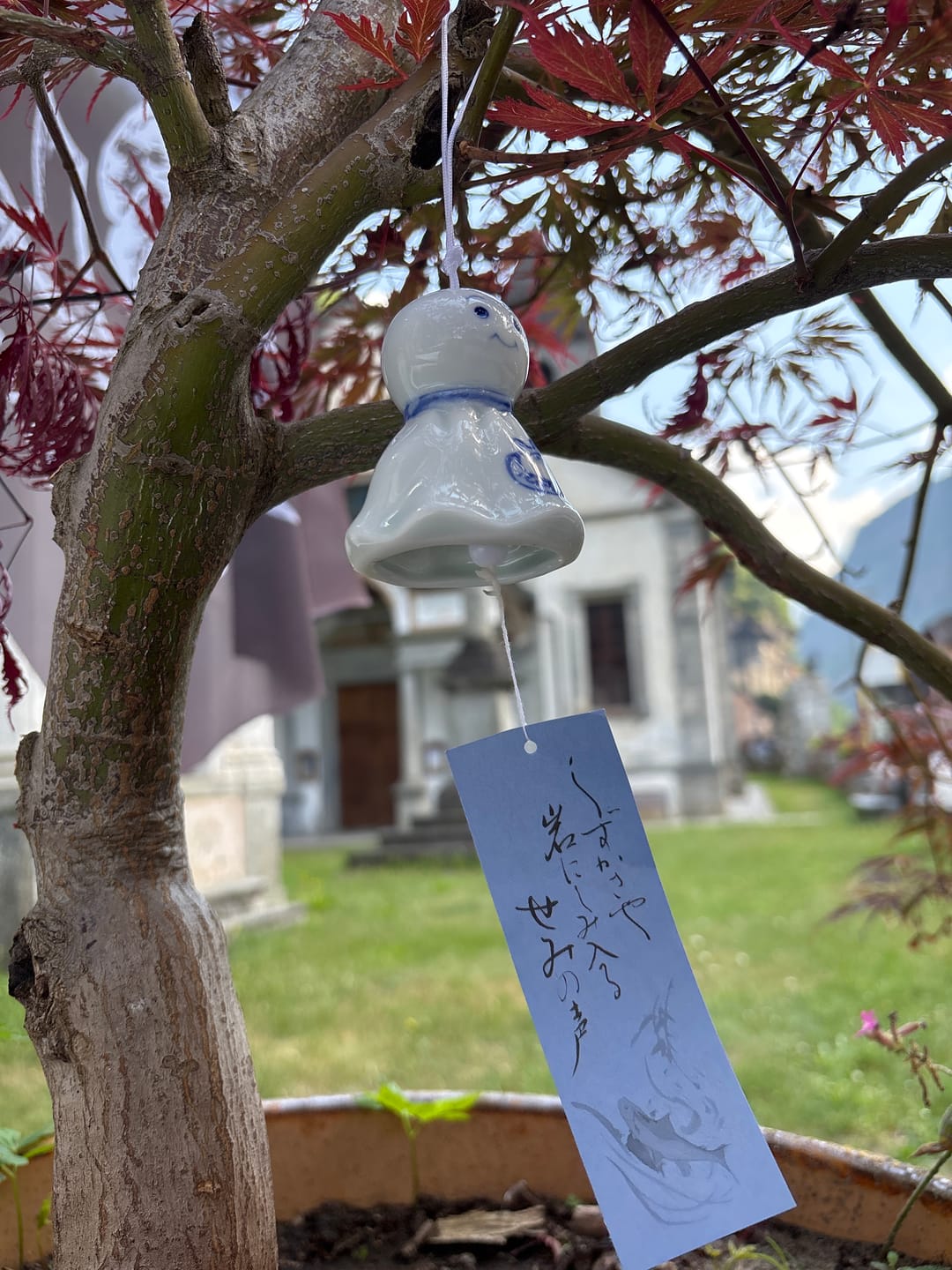 Customer photo review of Carillon giapponese Teru Teru Bōzu