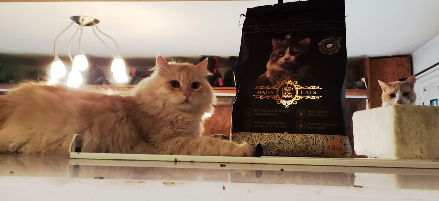 Customer photo review of Katzenstreu 2+1 Aktion
