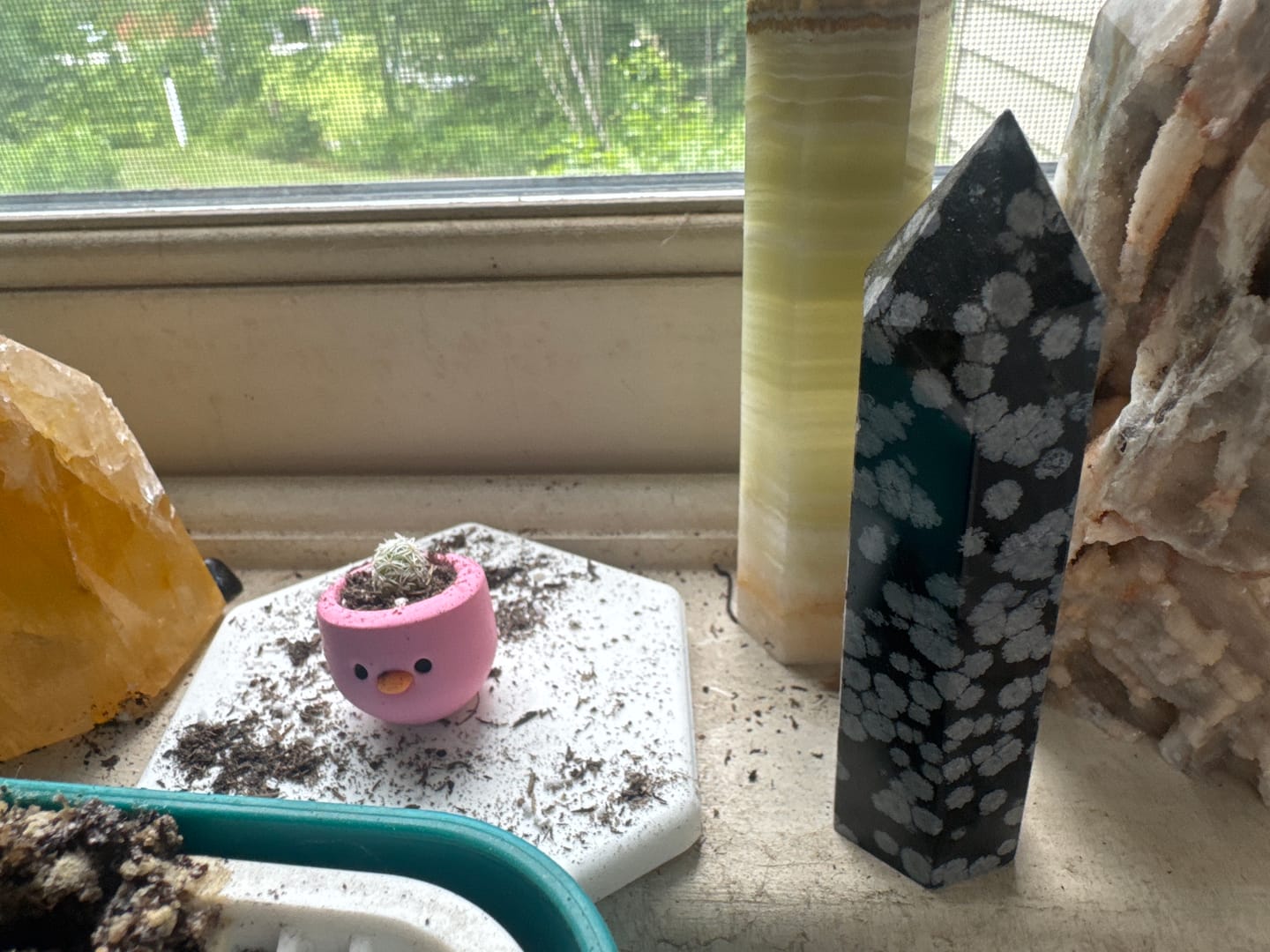 Customer photo review of Mystery Pool