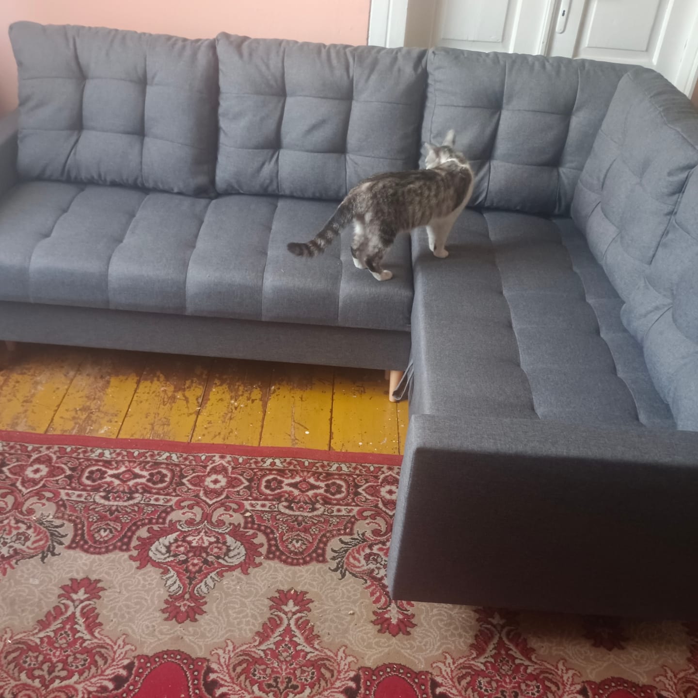 Customer photo review of Narożnik ELMA LO P