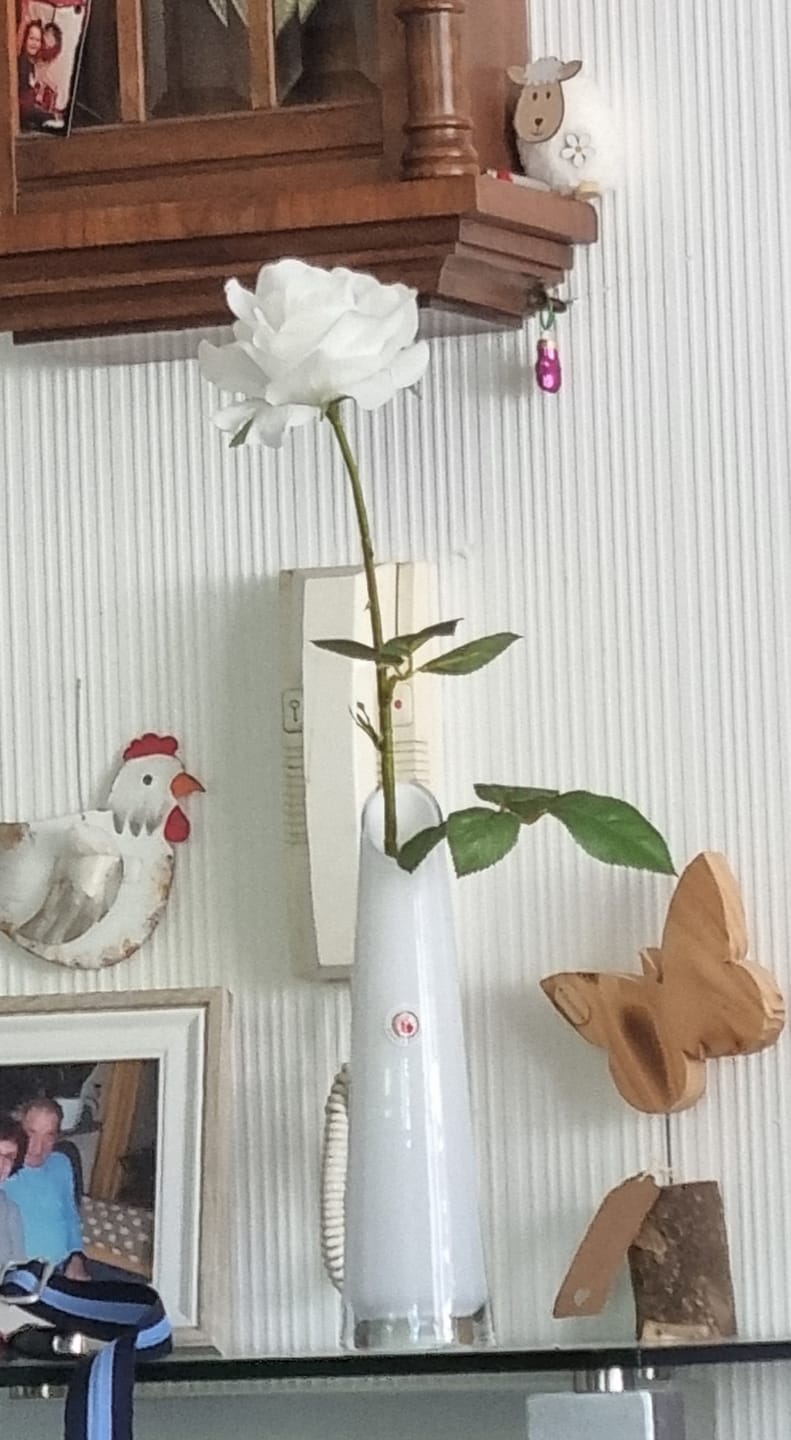 Customer photo review of Vase Lotus