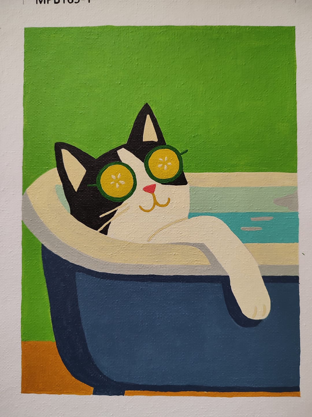 Customer photo review of 6 Mini Paintings - Crazy Cat Set
