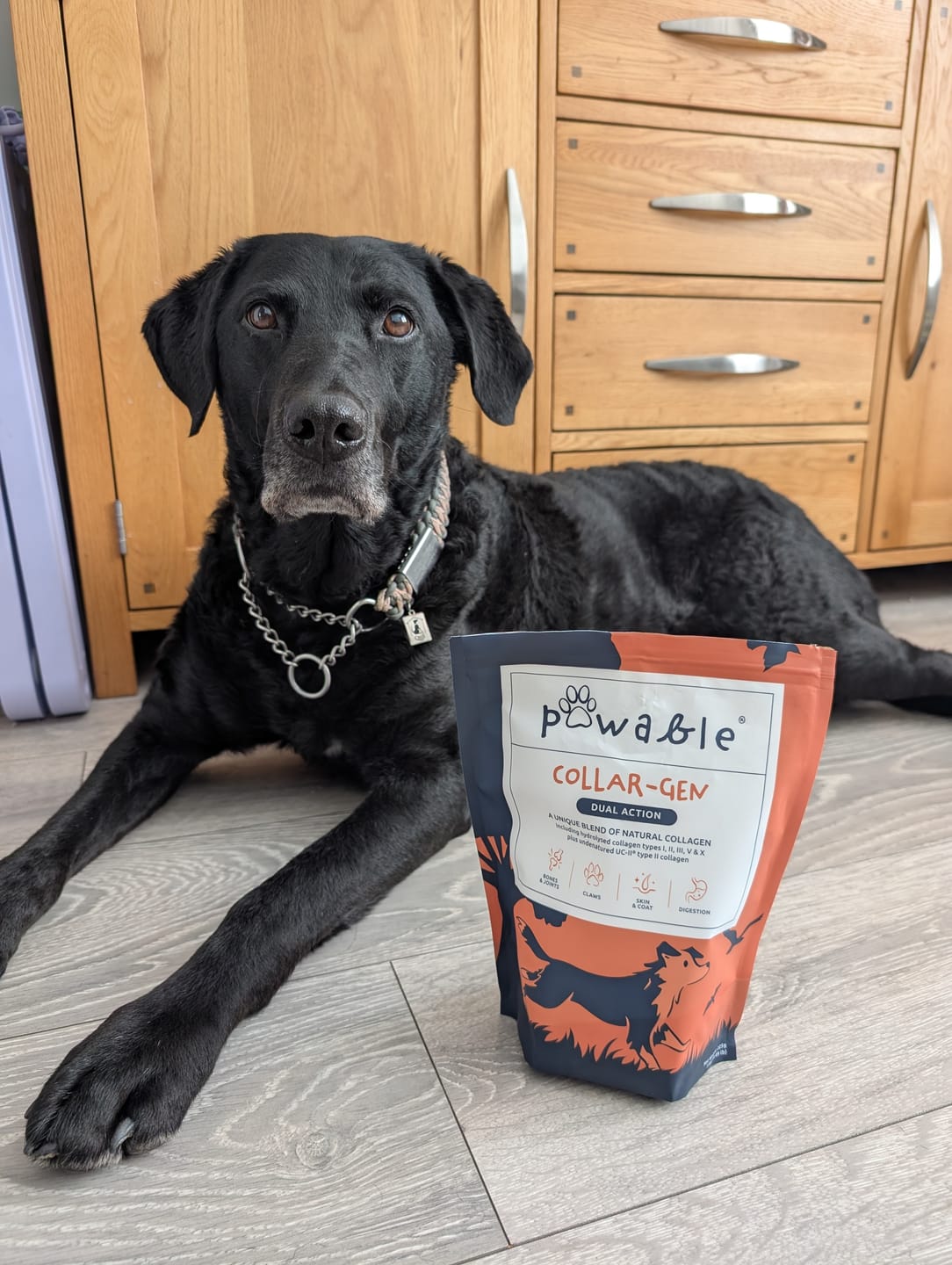 Customer photo review of collagen for dogs