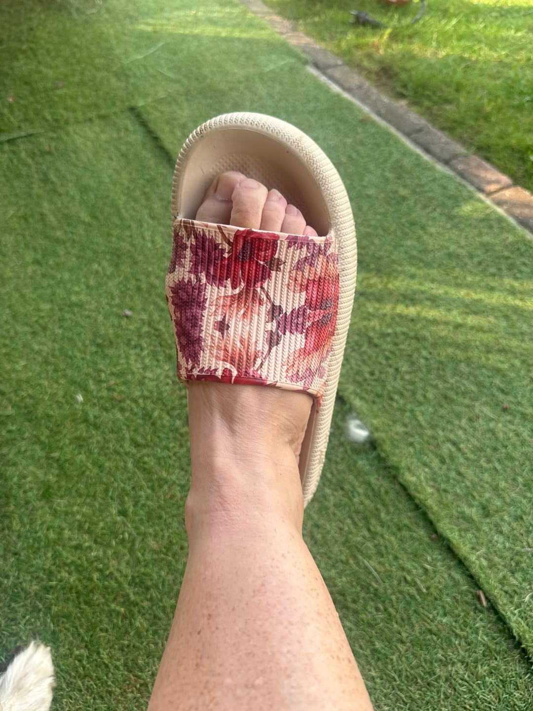Customer photo review of HappyFlops Botanics