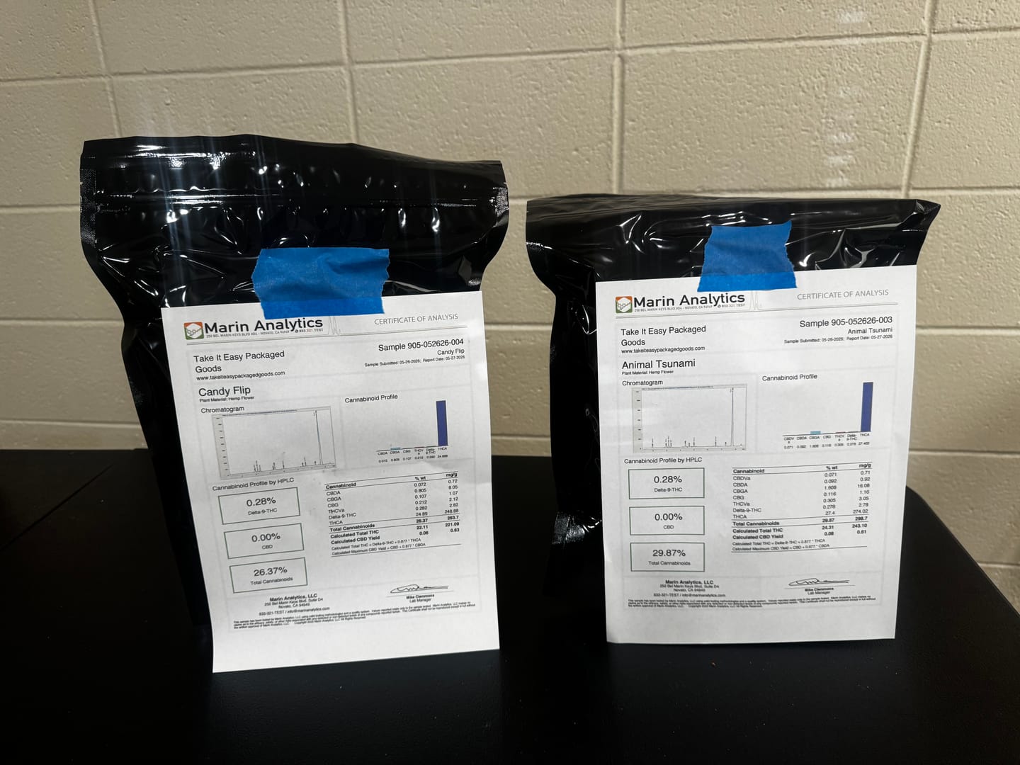 Customer photo review of Animal Tsunami (Bulk)