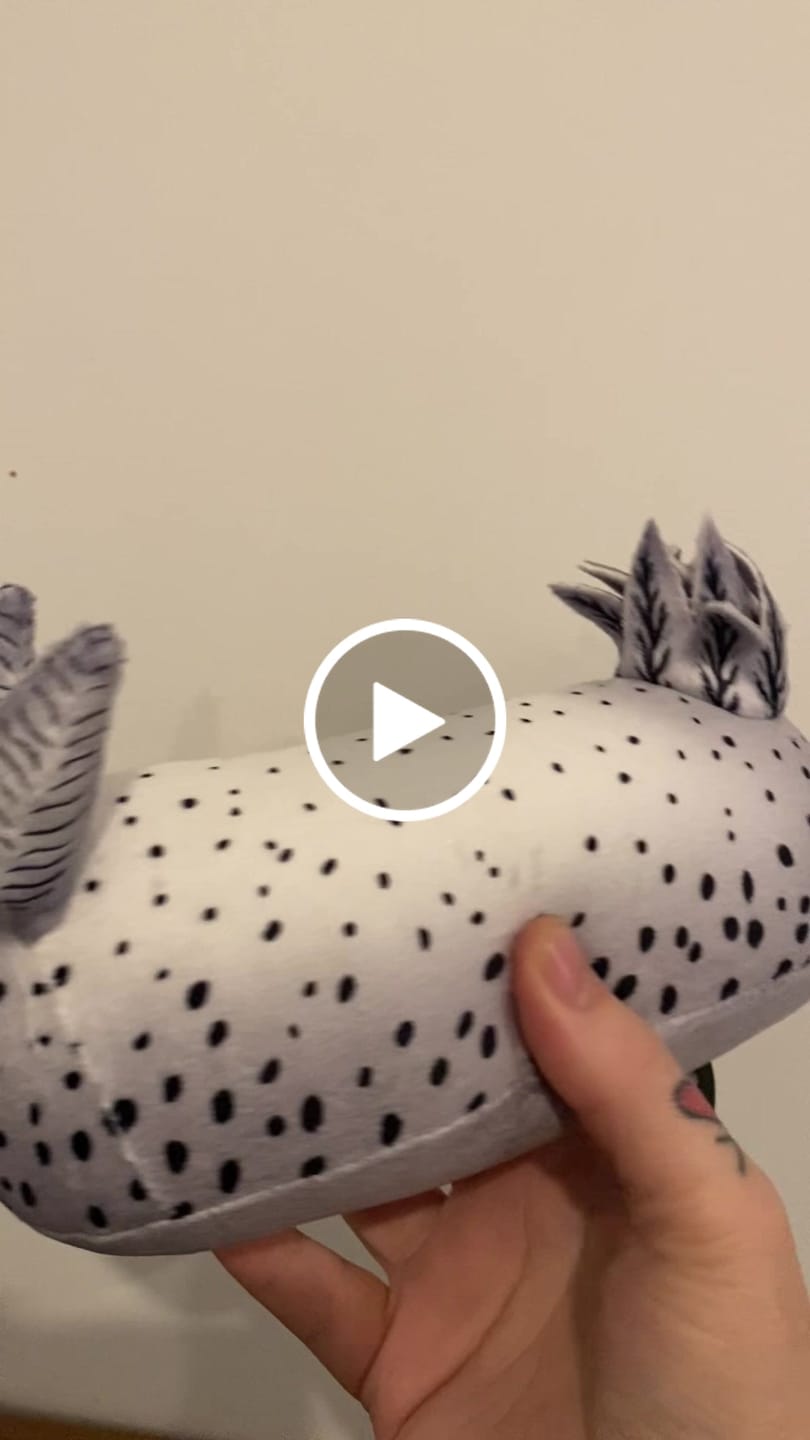 Customer video review of Specimen 4 - Sea Bunny Nudibranch Plush