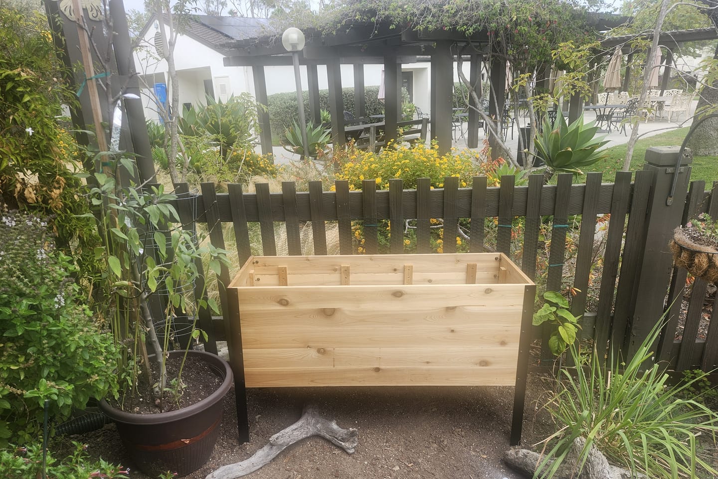 Customer photo review of 18" x 48" Raised Garden Bed - 30" TALL / Garden Grade