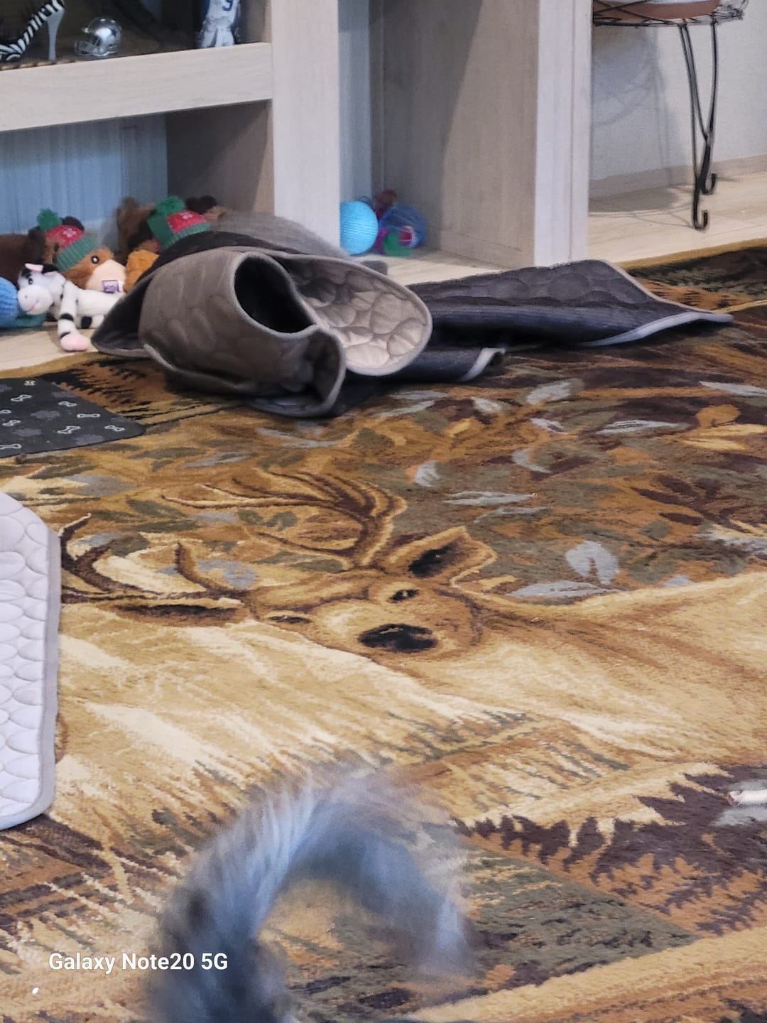 Customer photo review of IcyNap | Ice-Silk Continuous Cooling Dog Cooling Mat