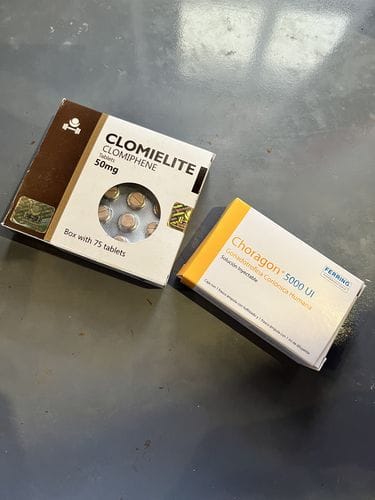 Customer photo review of Paquete Post-ciclo para principiantes o intermedios | Gonadotropina (HCG), & Clomifeno