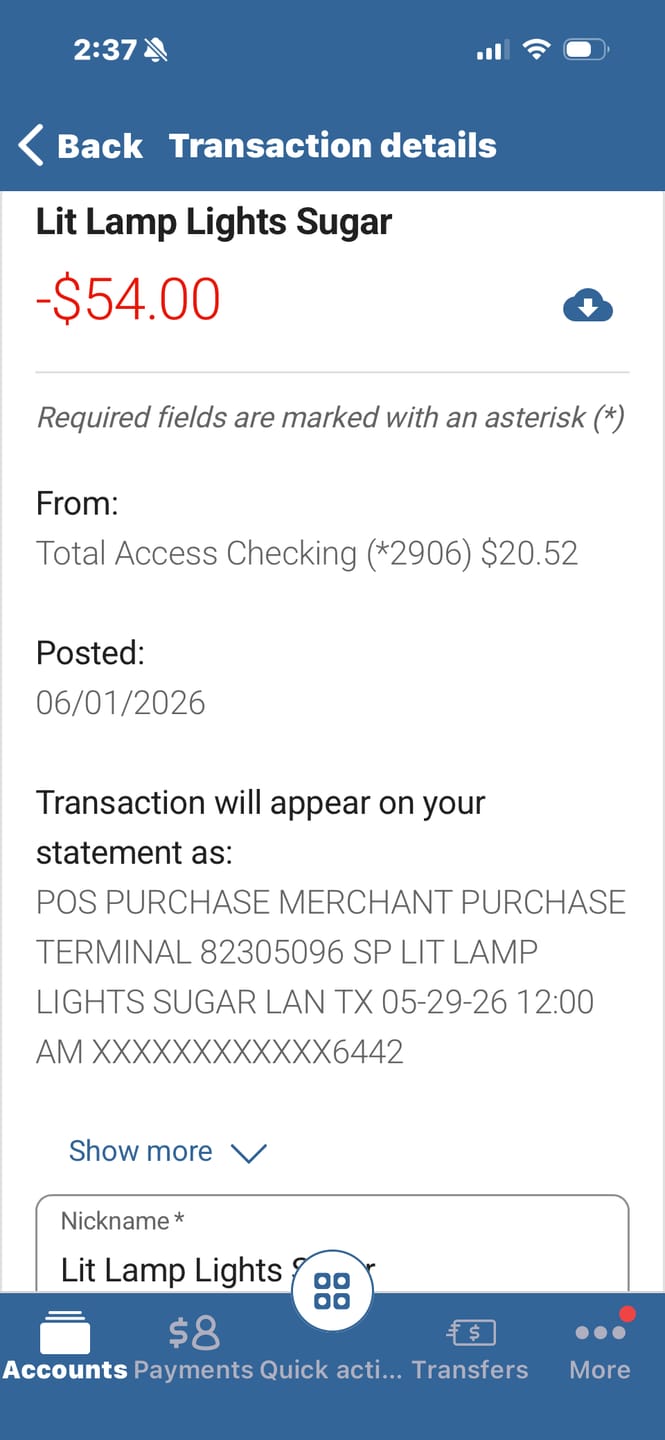 Customer photo review of Litlamp® Solar Cam Pan