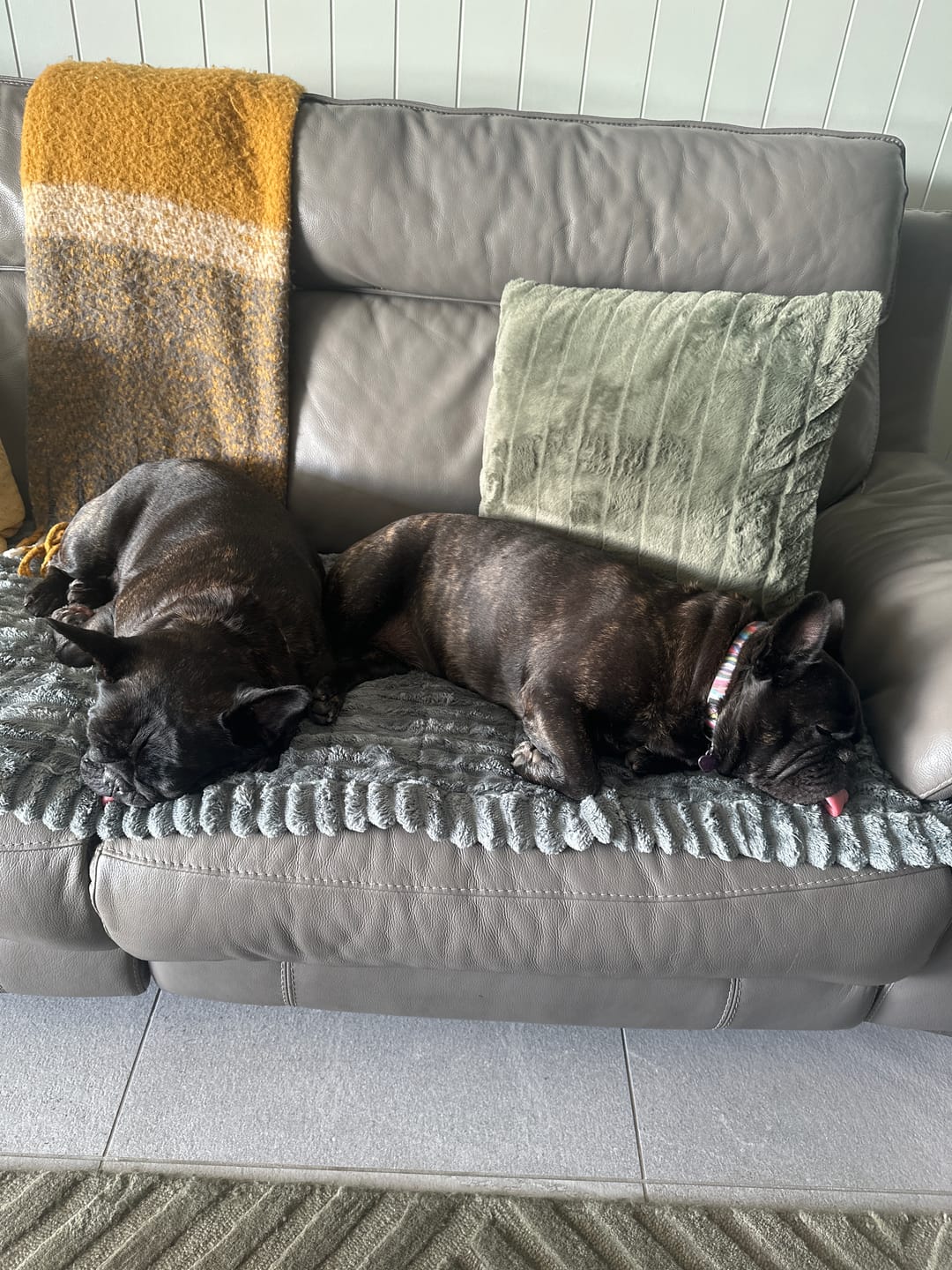 Customer photo review of CouchCloud - Couch Covers