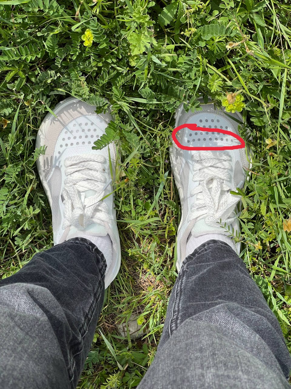 Customer photo review of Takumi Snow