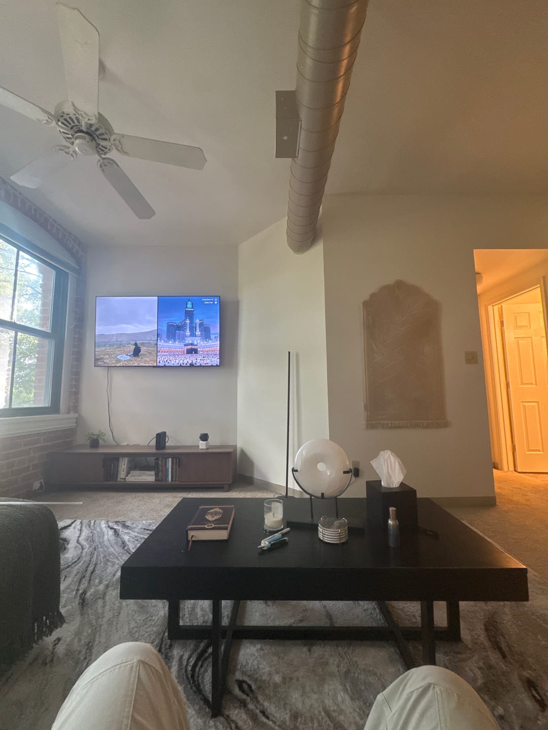 Customer photo review of Wall Mount Magnet System