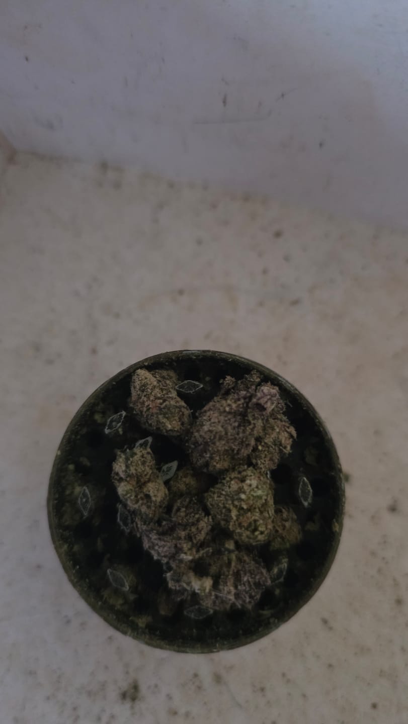 Customer photo review of Gelato Kush - Bulk - Indica