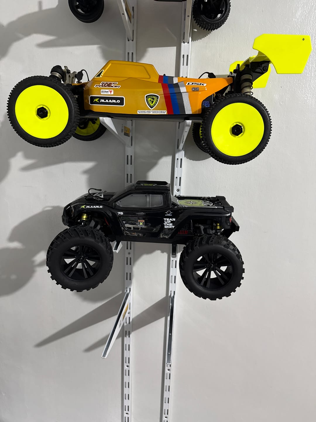 Customer photo review of Rlaarlo 1/8 4WD Buggy Dragon Scale Knight | DSK KIT