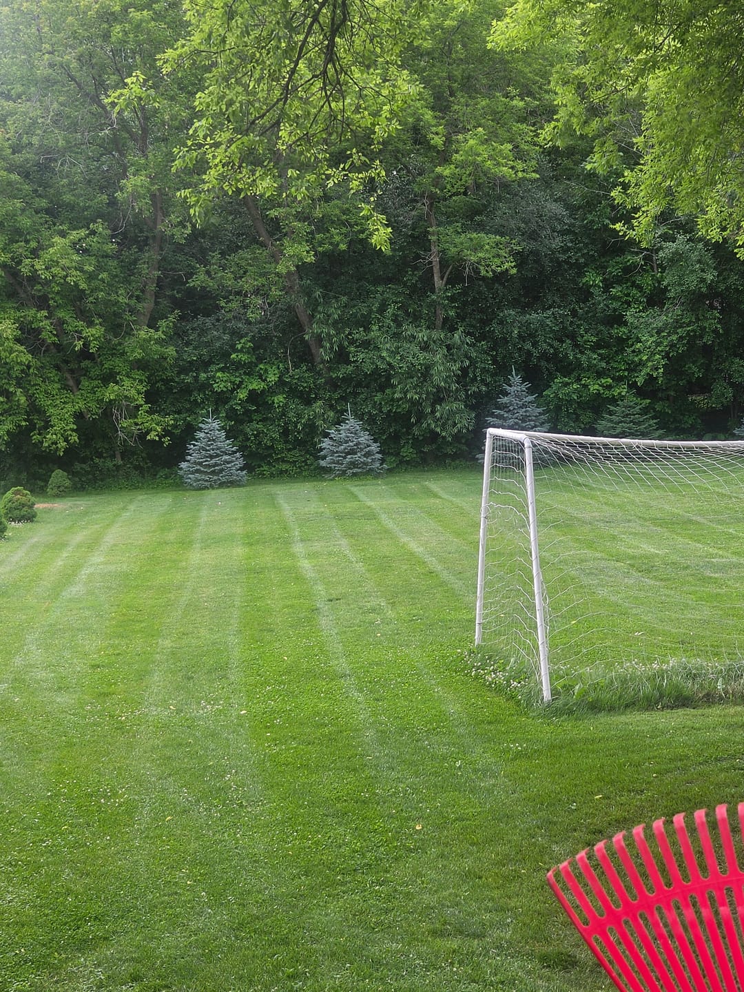 Customer photo review of Broominator — Turn Any Mower Into a Striping Machine