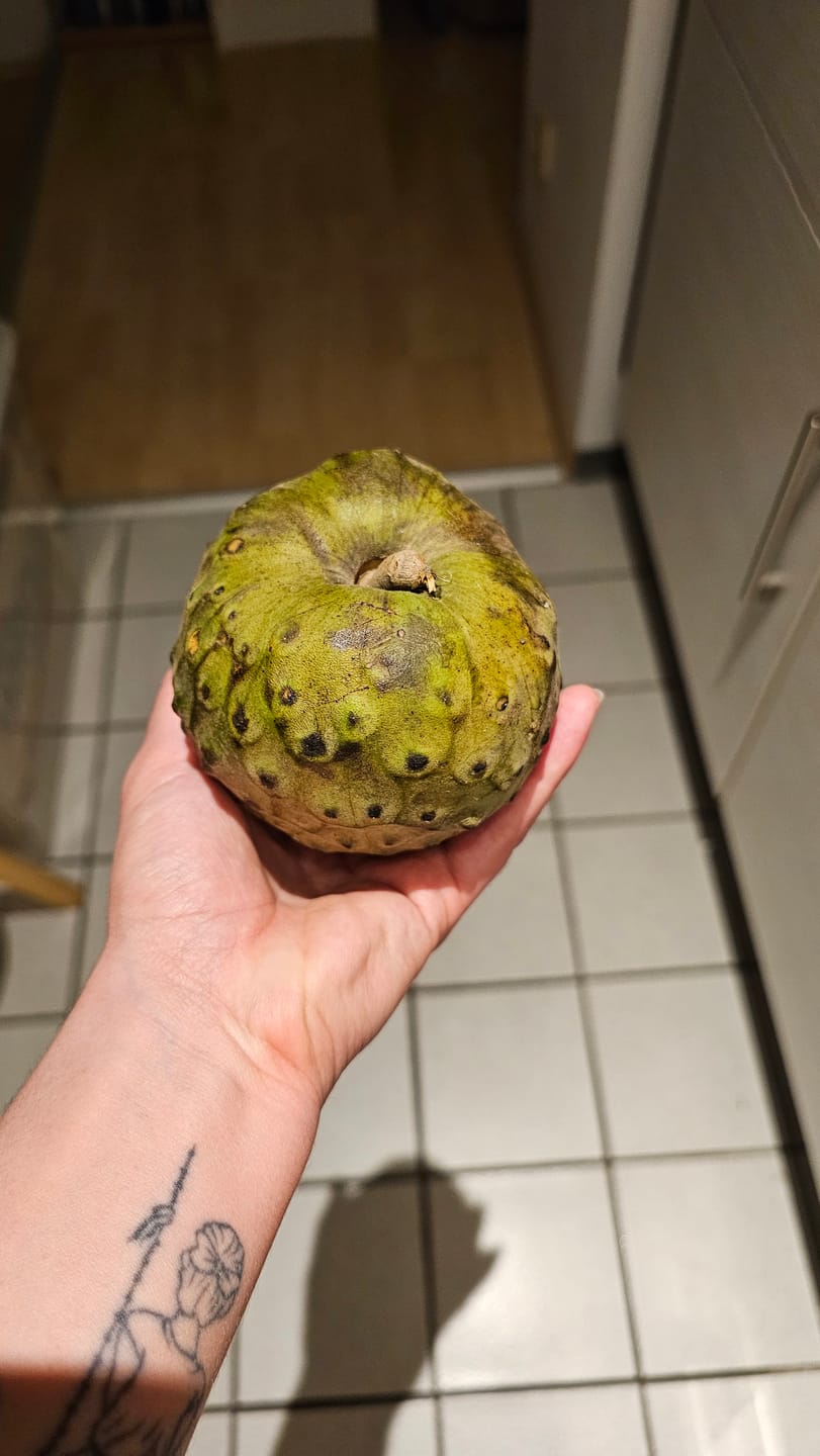 Customer photo review of Cherimoya Bio Hochernte-Retterbox Sonderaktion % 4kg