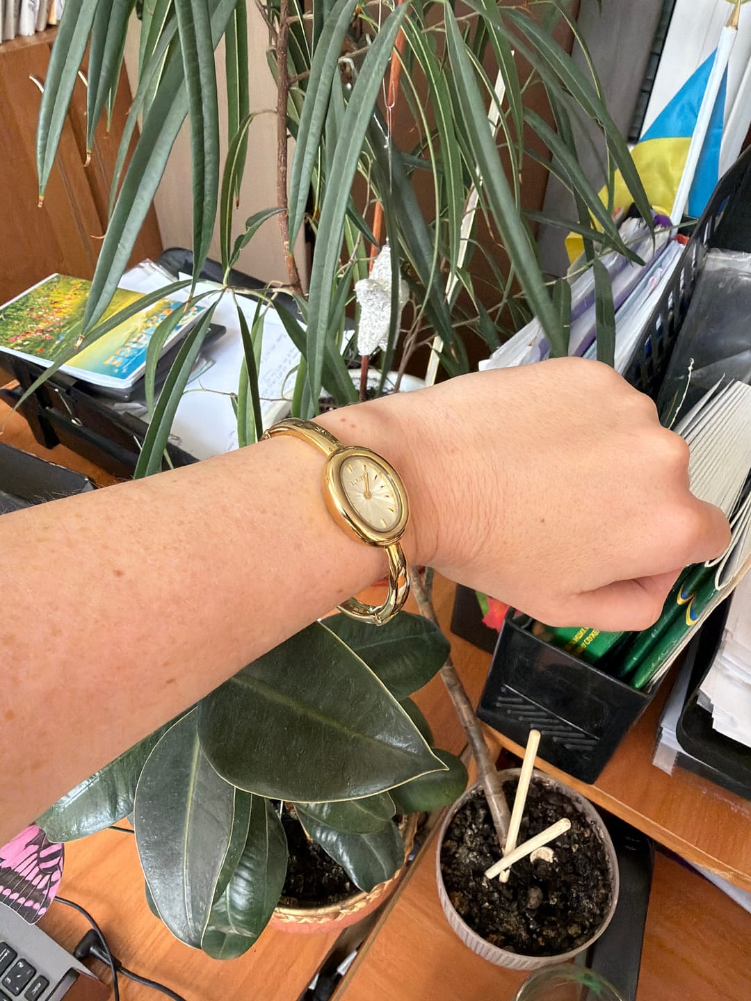 Customer photo review of Diana Gold White