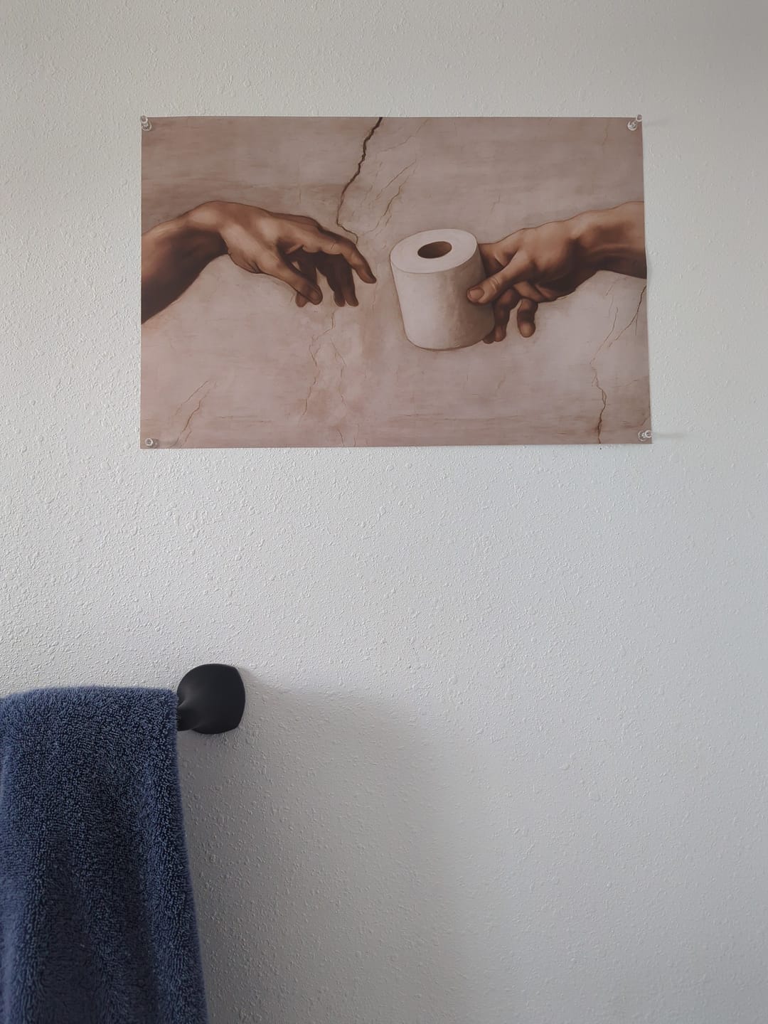 Customer photo review of The Hands of God and Adam Toilet Paper