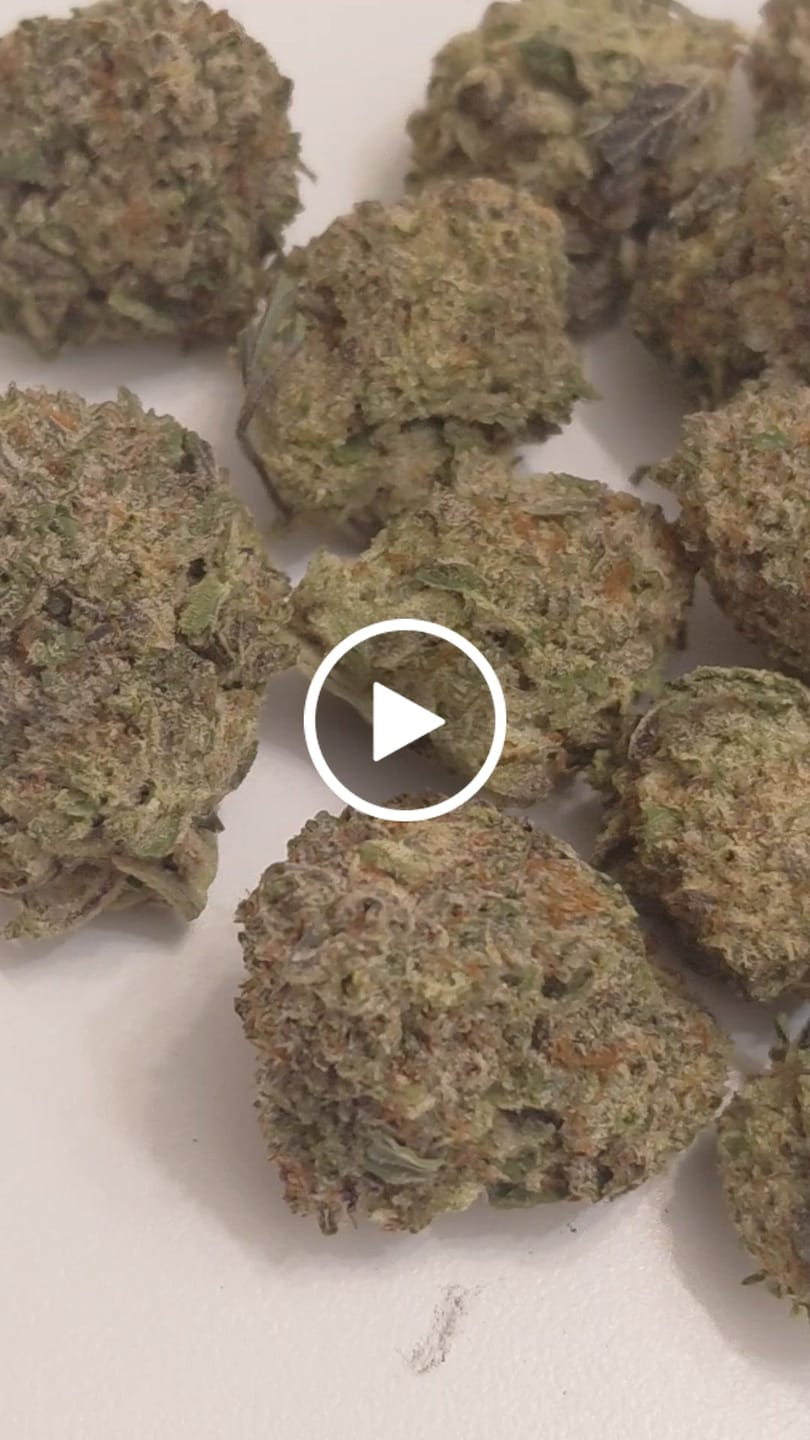 Customer video review of Truffle Indoor - Bulk - Indica