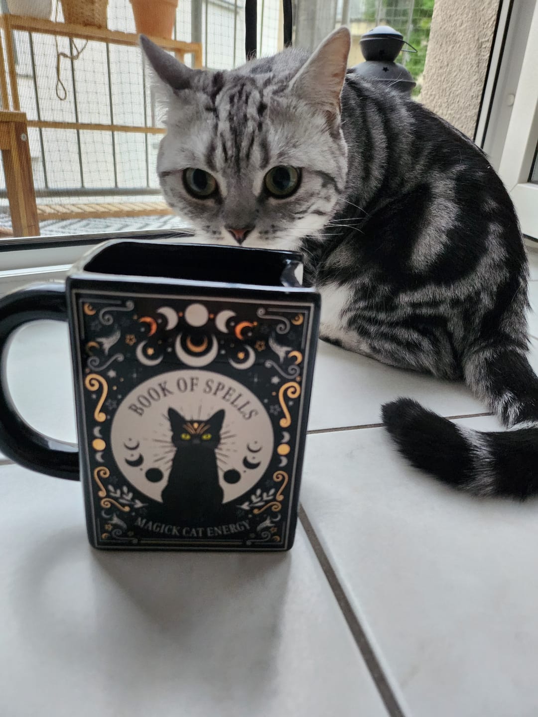 Customer photo review of Schwarze Katze Tasse Buchform – Witchy Buchtasse für Katzenliebhaber