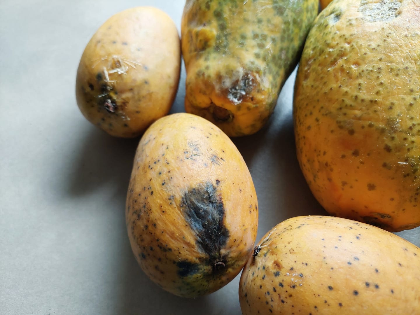 Customer photo review of Mango Mingolo baumgereift Sonderaktion % 2kg Box