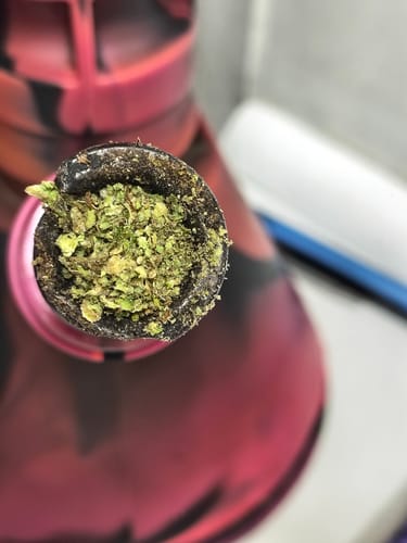 Blueberry Muffin - 28 Grams - Indica photo review