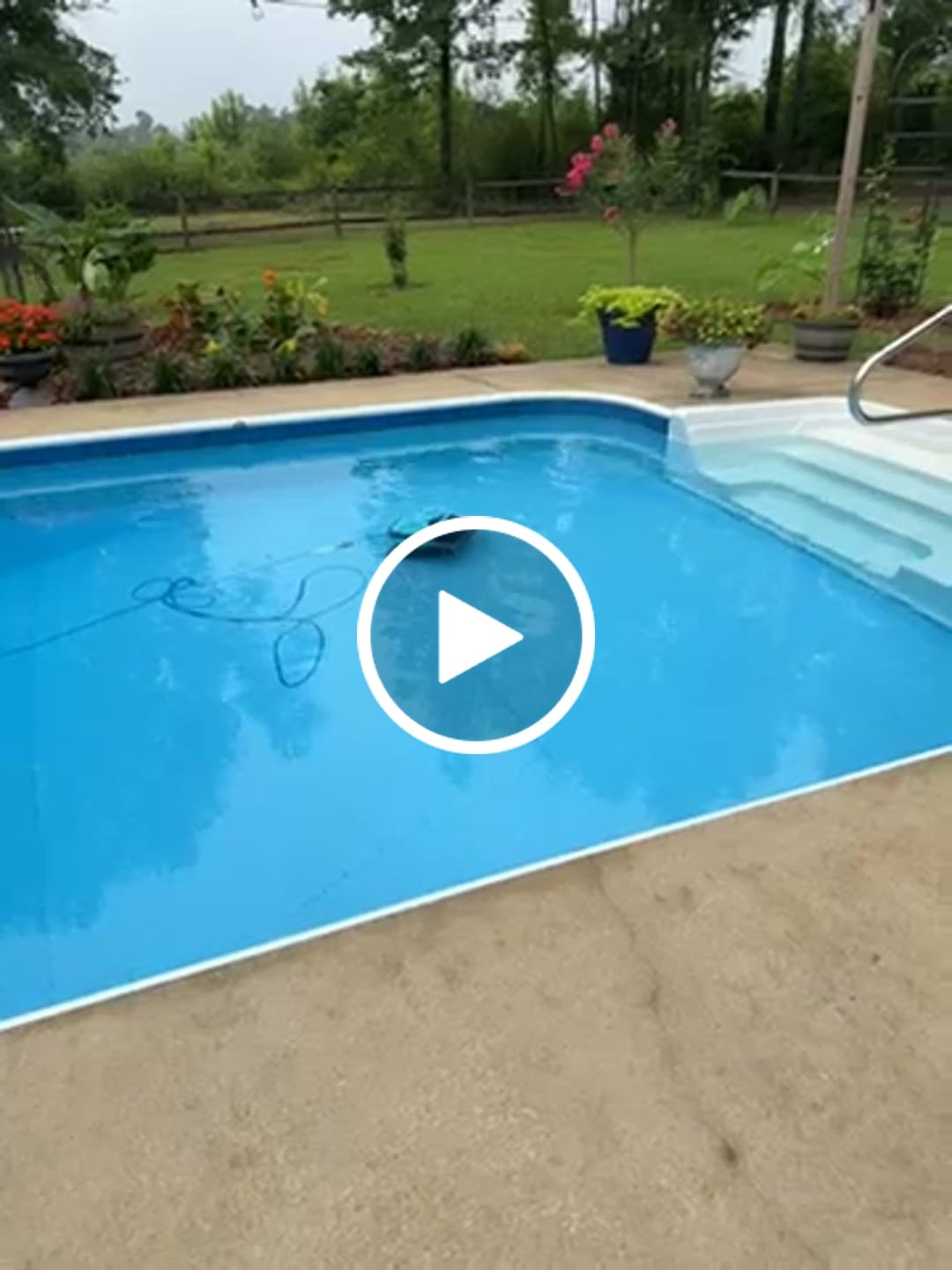 Customer video review of Dolphin Active 2000 Corded Robotic Pool Vacuum Maytronics - Enhanced Warranty Included