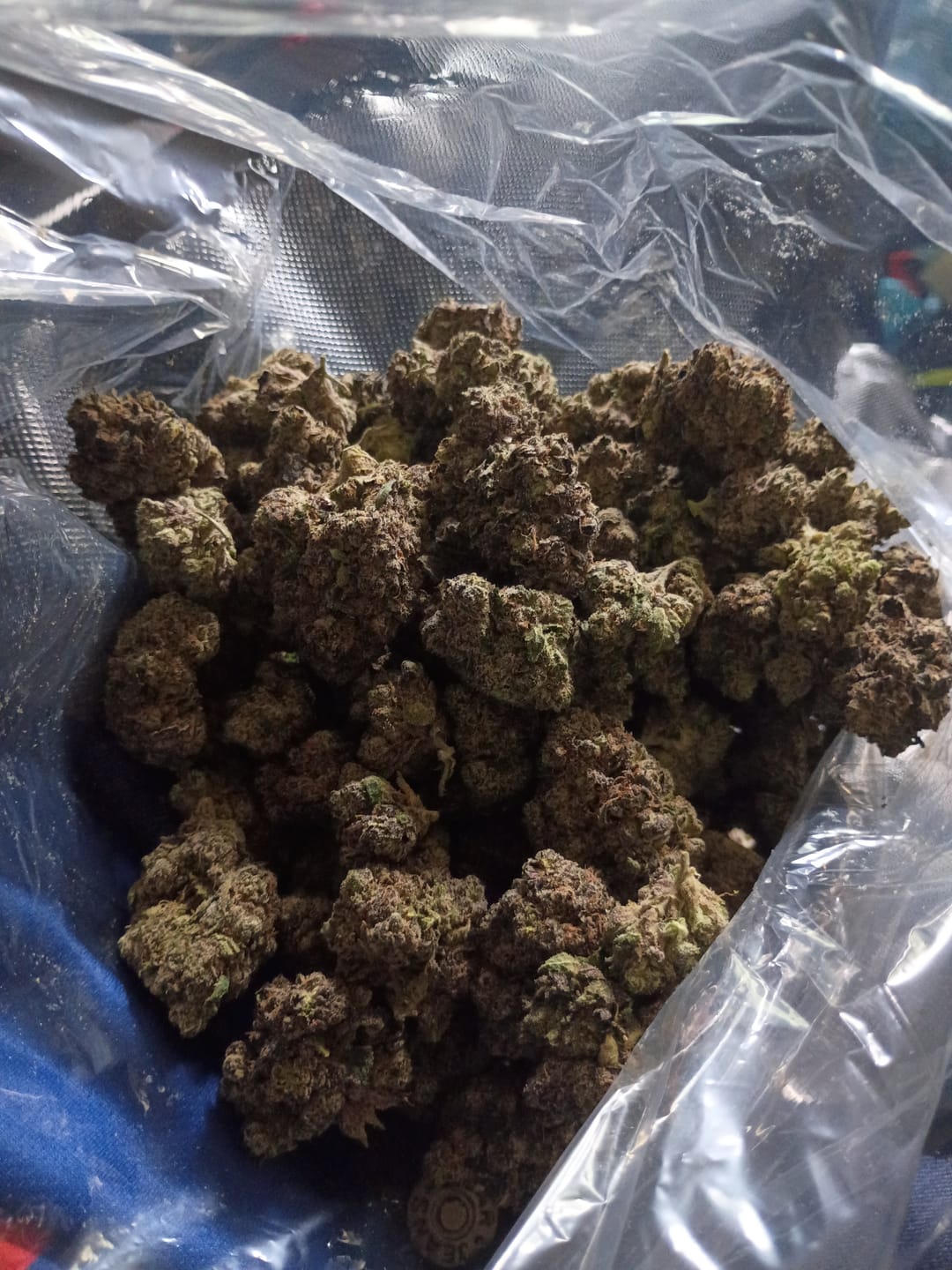 Customer photo review of Boutique Exotics Obama Runtz - Bulk - Hybrid
