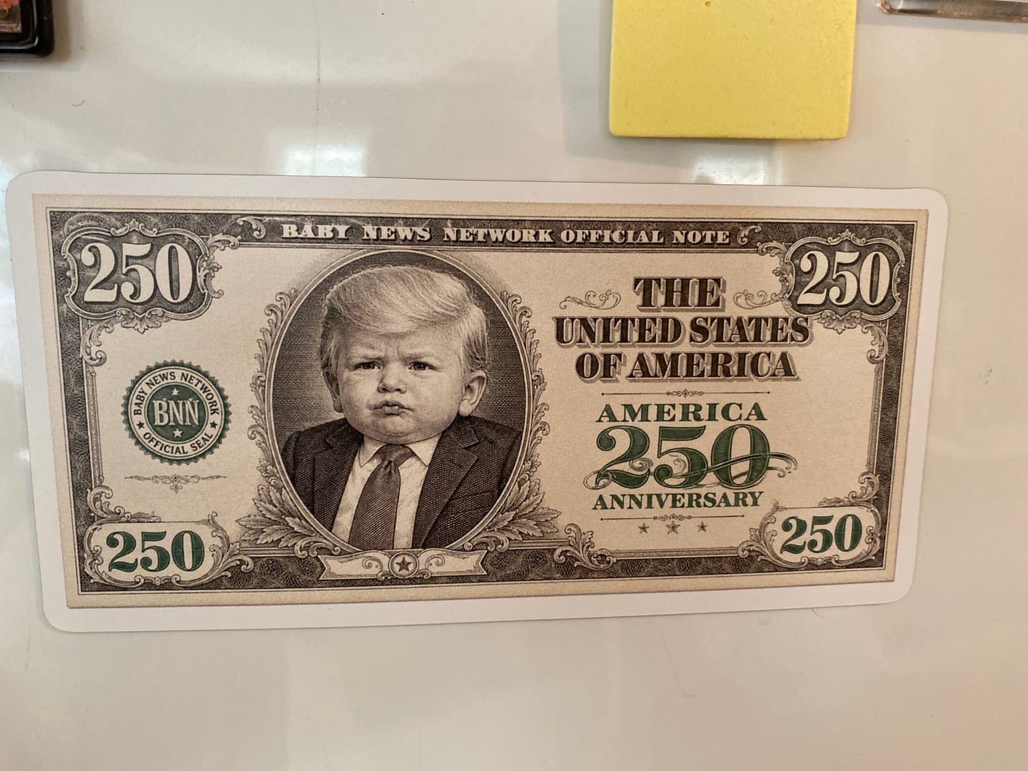 Customer photo review of 250th Anniversary Novelty 250 Bill Magnet