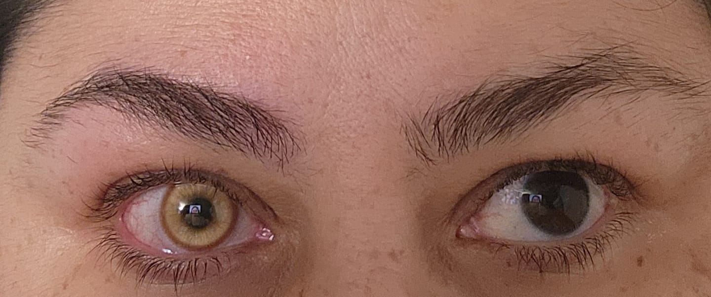 Customer photo review of Cosplay Fairy Brown Colored Contact Lenses