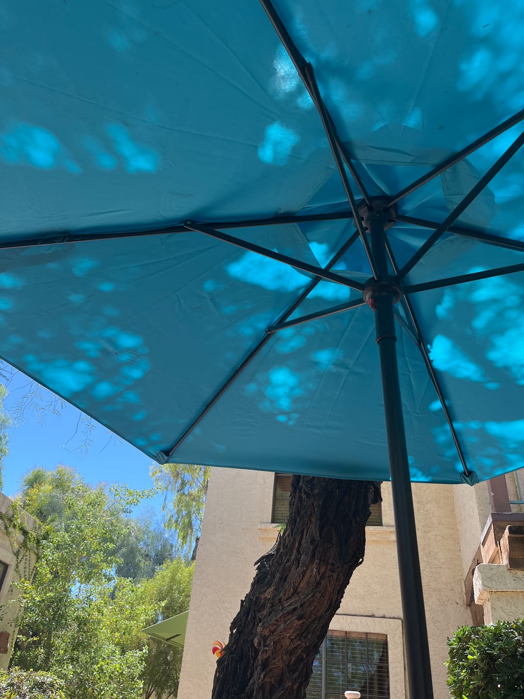 Customer photo review of 7.5FT Patio Umbrella Replacement Canopy for 6 Ribs