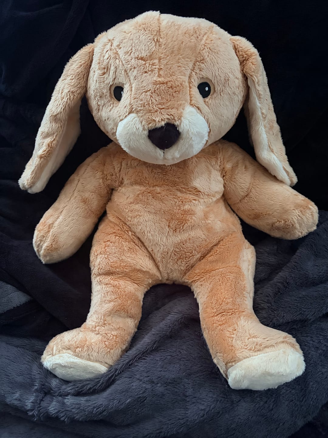 Customer photo review of Lotgenootje Konijn 2kg
