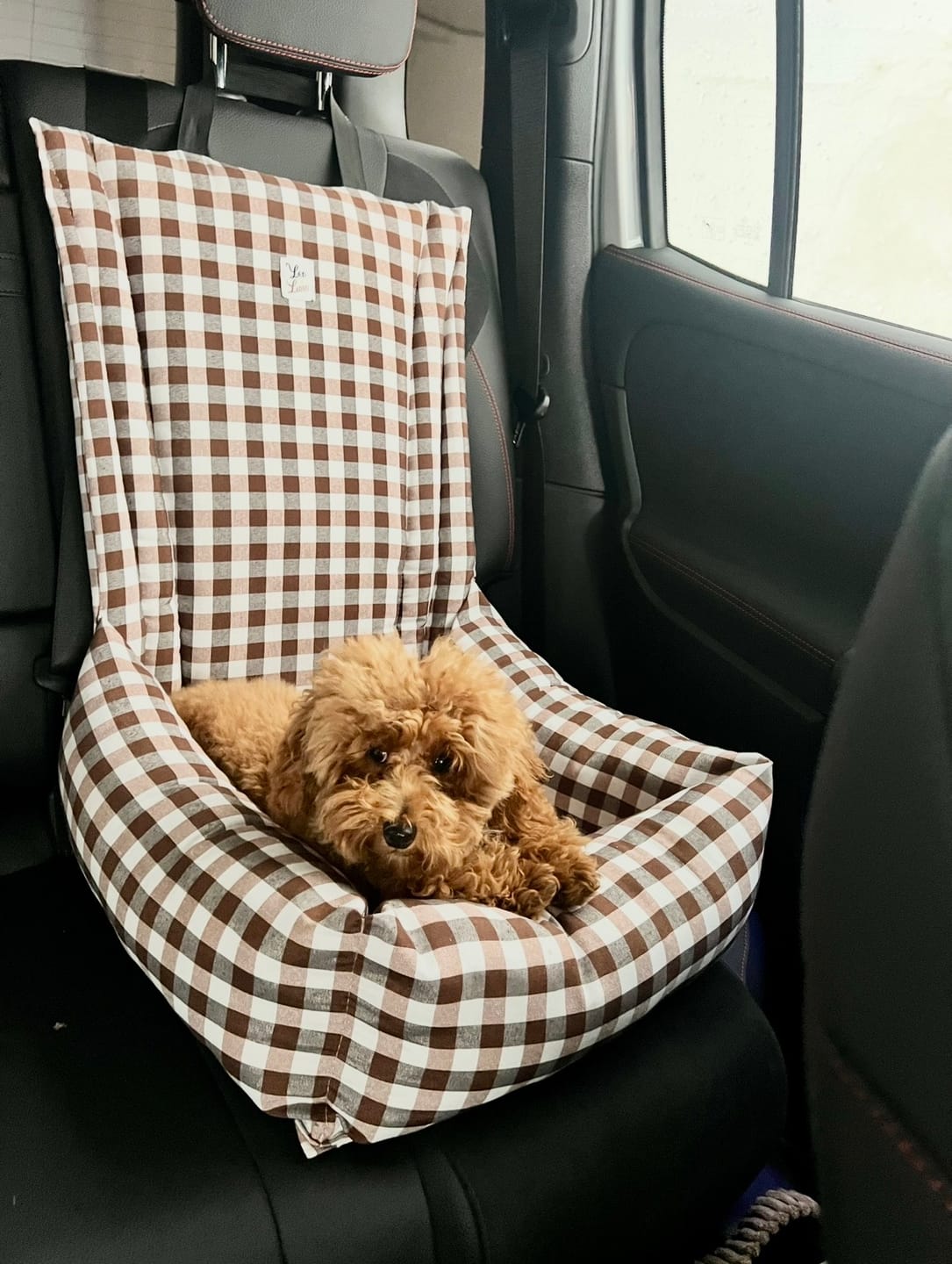Customer photo review of Seggiolino Auto Cotone Quadretto Marrone