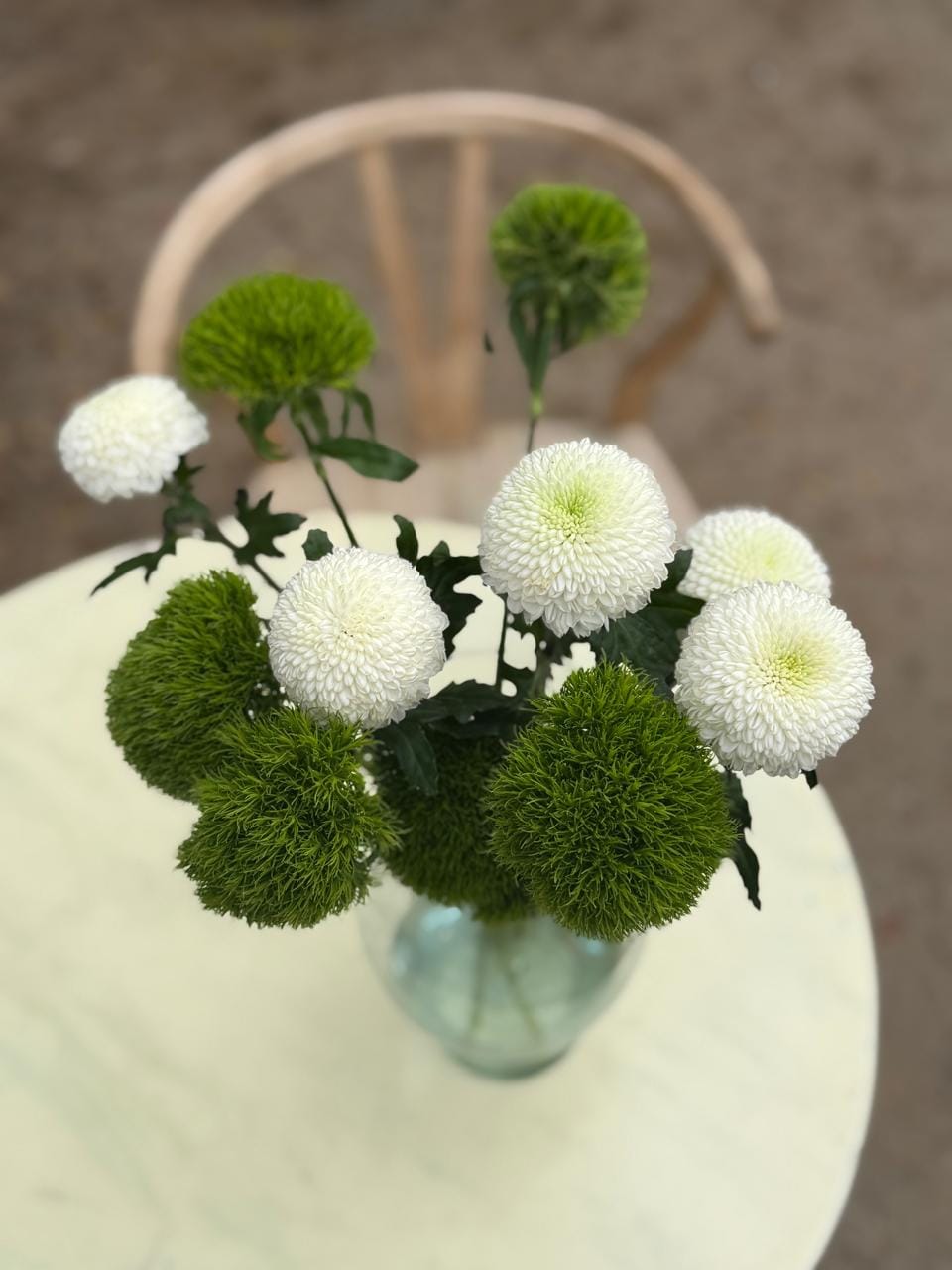 Customer photo review of Dianthus Green Ball