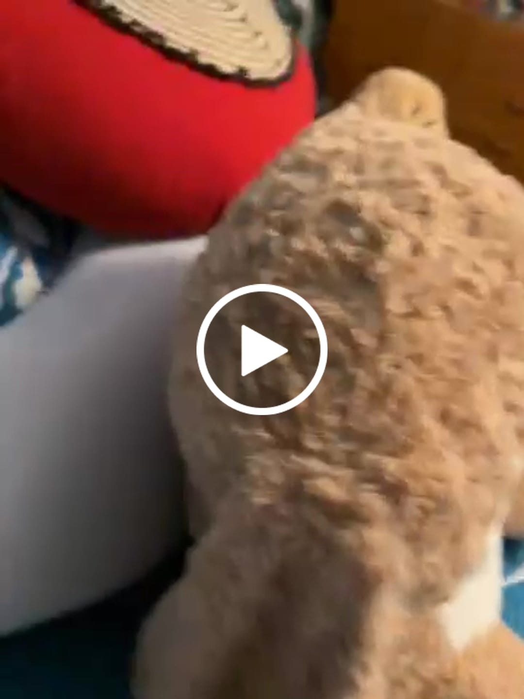 Customer video review of BodyAlign Cooling Pillow