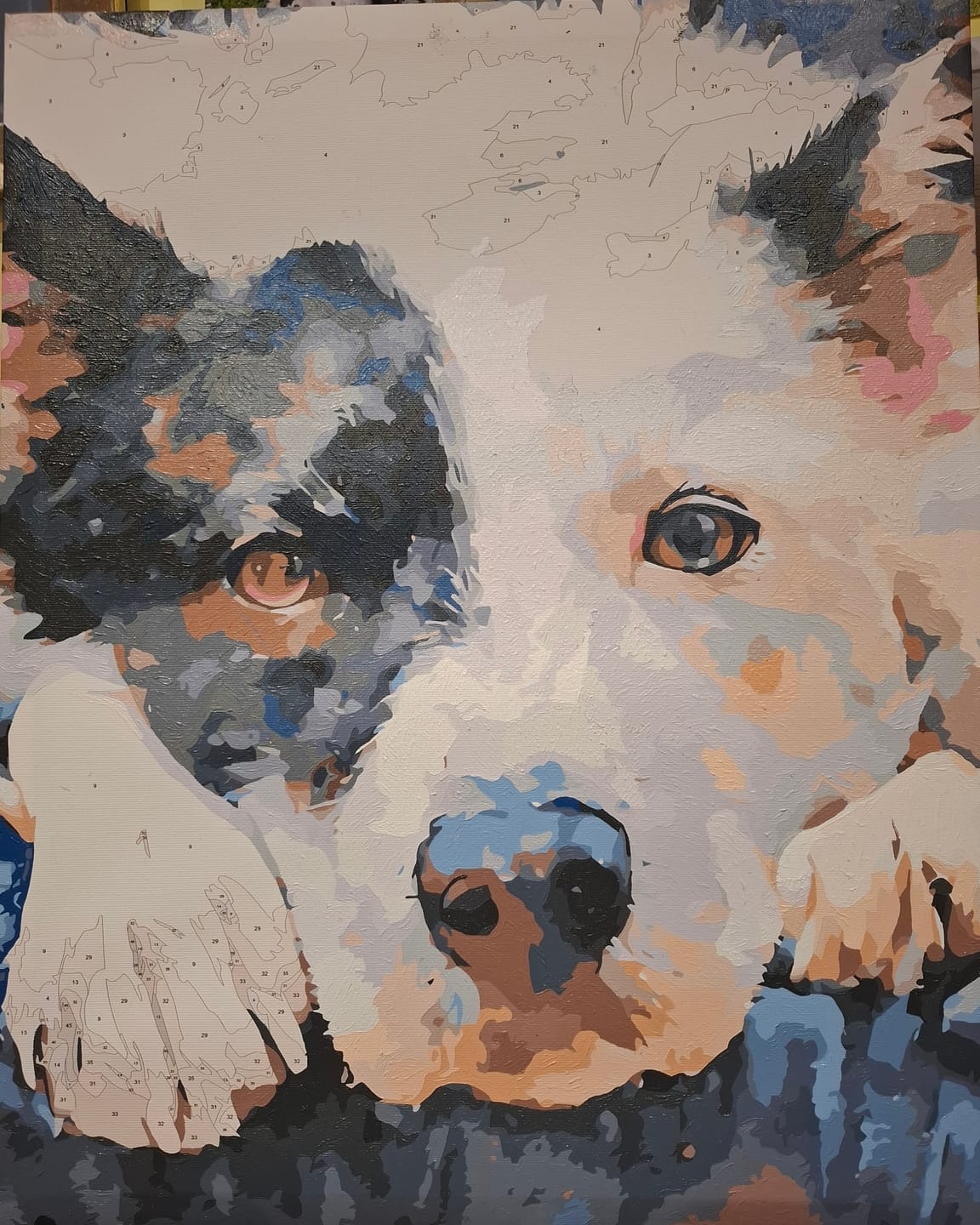 Customer photo review of Custom Paint By Numbers - Personalized Pet Portraits