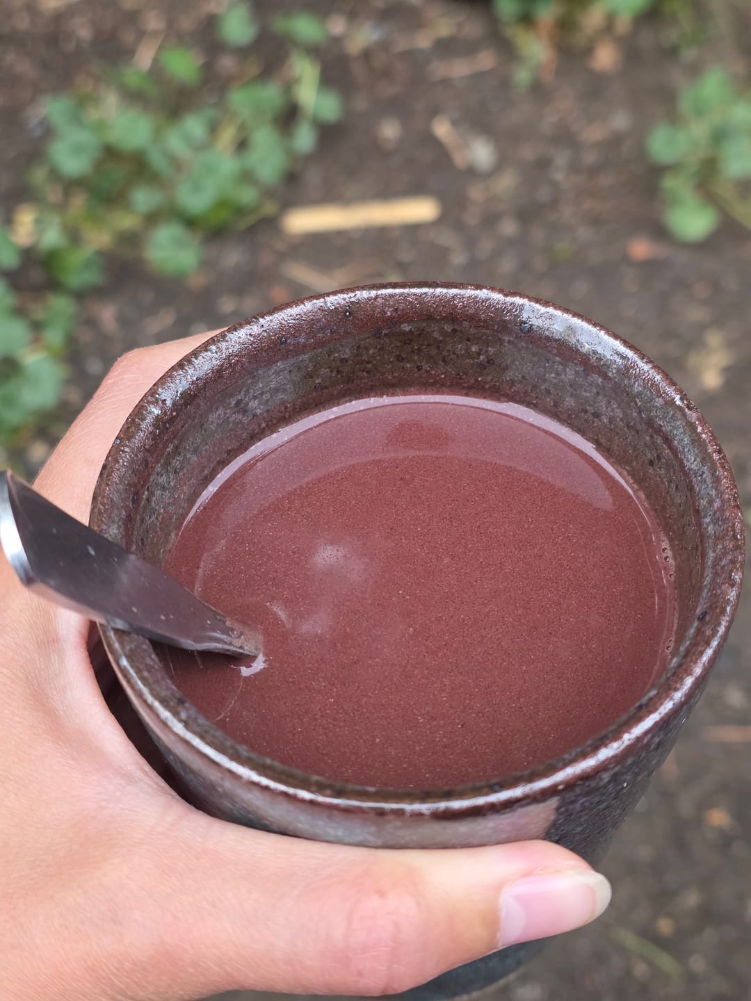 Customer photo review of Fifth Element Cahabón Cacao - 100% Pure Ceremonial Cacao Paste