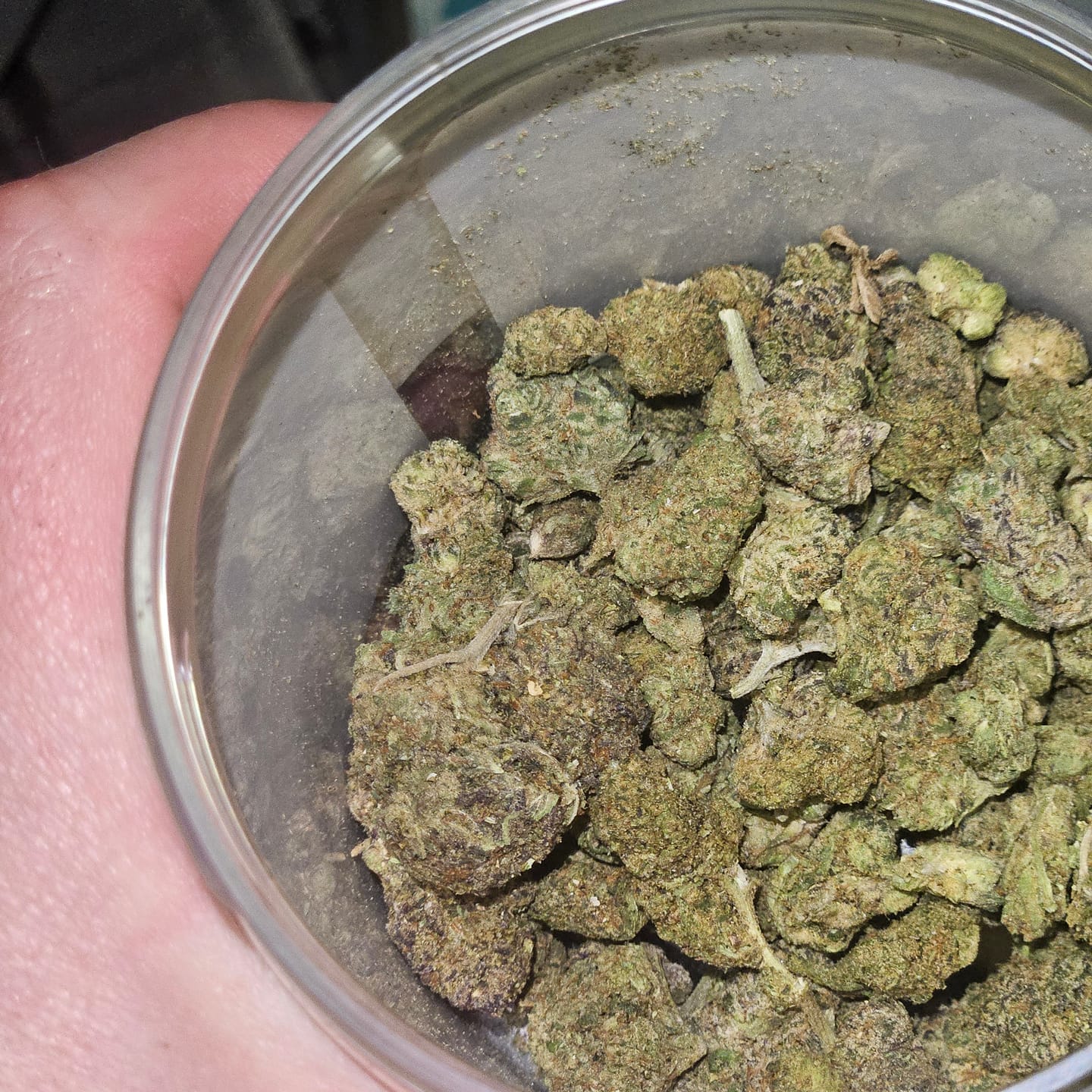 Customer photo review of Bulk House Blend Exotic Shake - Quarter Pound