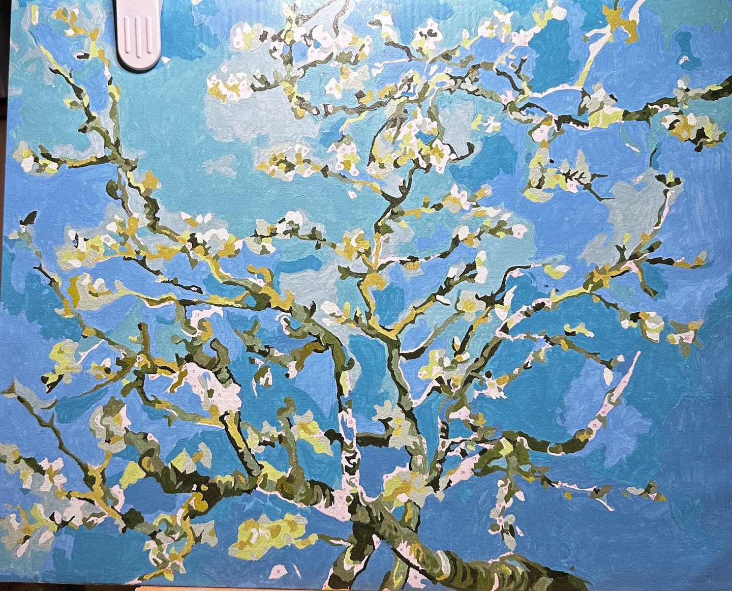 Customer photo review of Almond Blossom