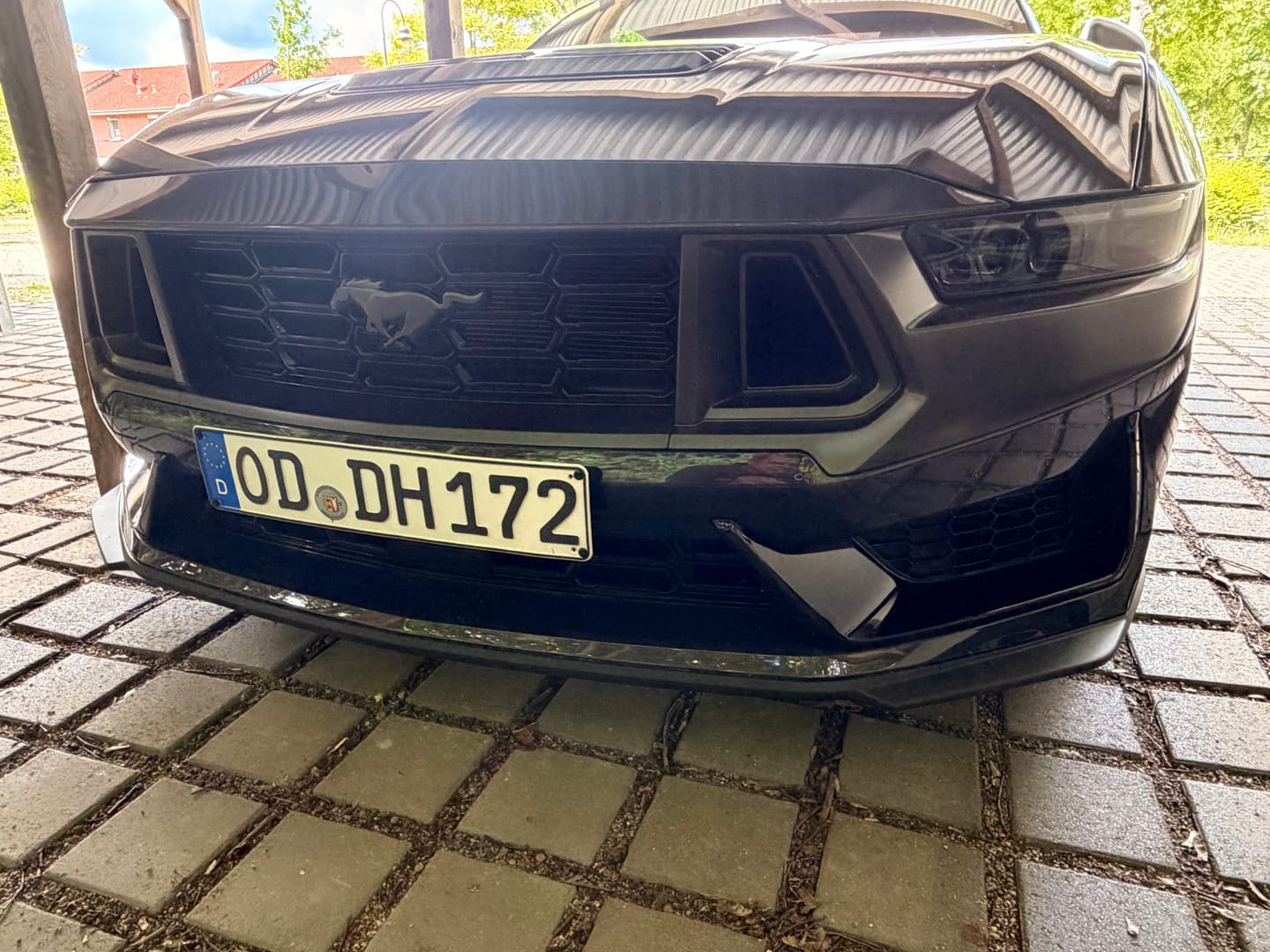 Customer photo review of Ford S650 Mustang Dark Horse 2024