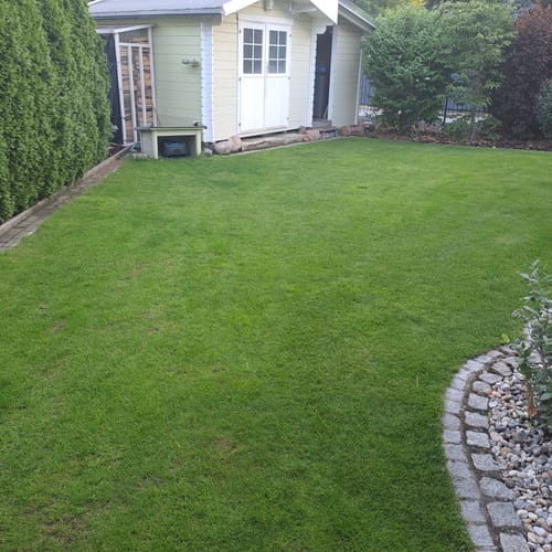 Ein Kunde zeigt seinen sattgrünen Rasen nach der Anwendung des RASENBLITZ™ SOMMERDÜNGERS.