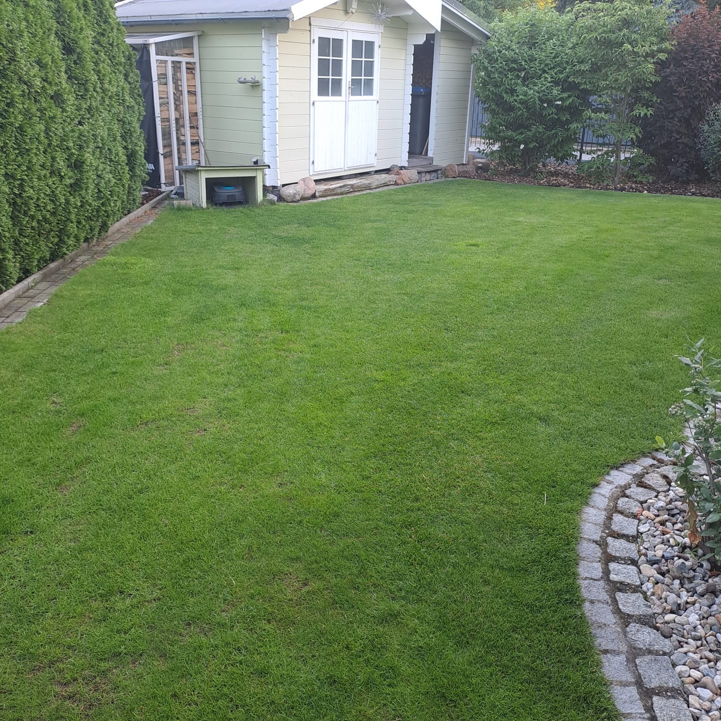 Customer photo review of RASENBLITZ™ - SOMMERDÜNGER