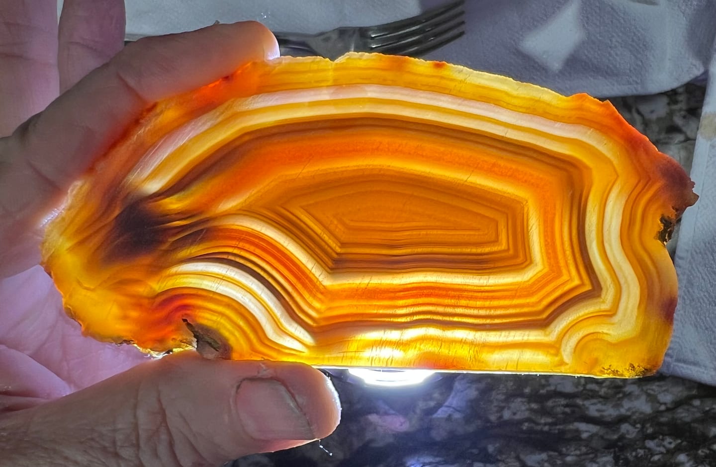 Customer photo review of Gemking Lapidary Saw Blades with Ultra-Thin Notched Rim for Wet Cutting of Hard Materials such as Agate, Petrified Wood or Jade