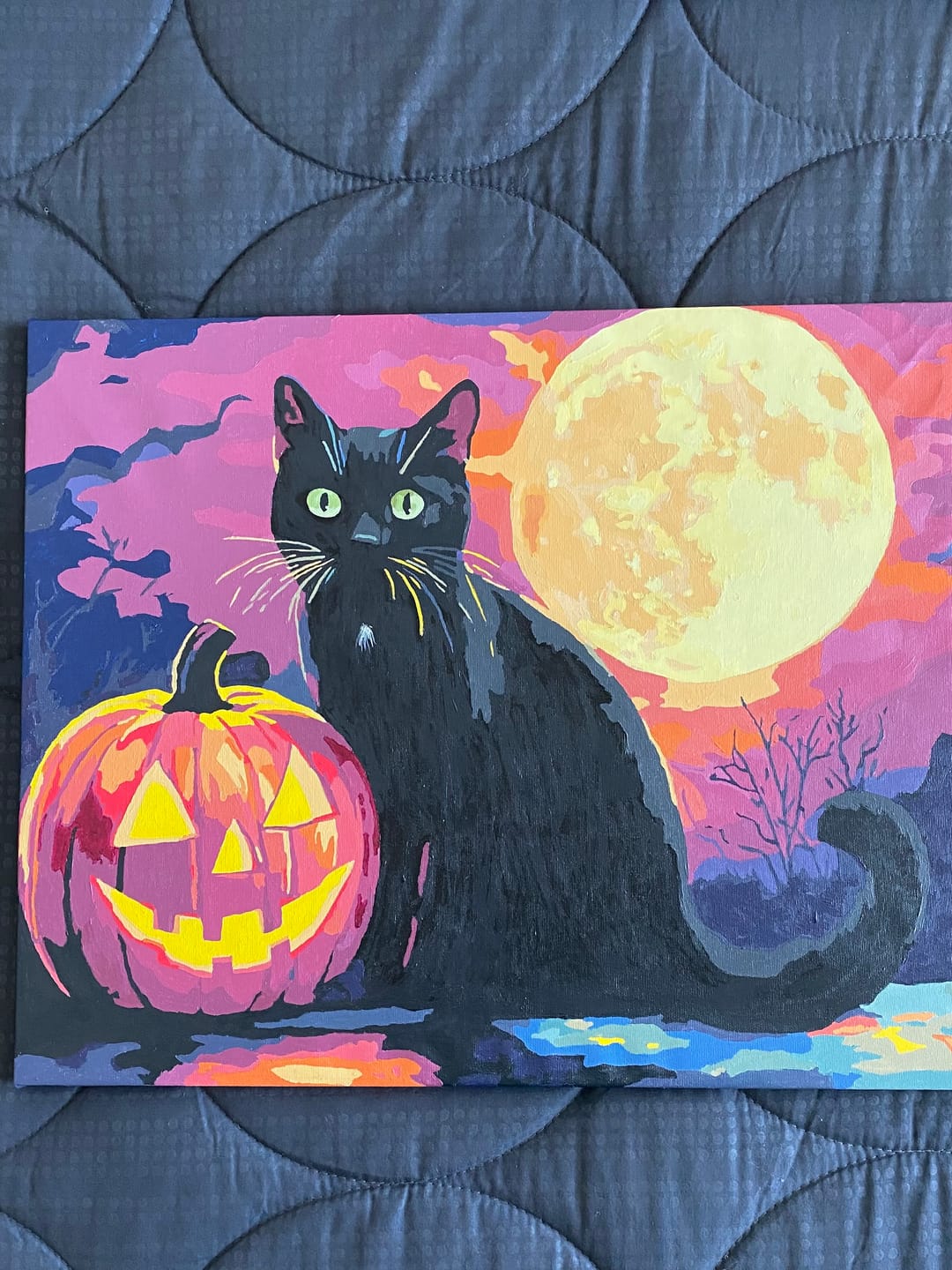 Customer photo review of Night Whiskers
