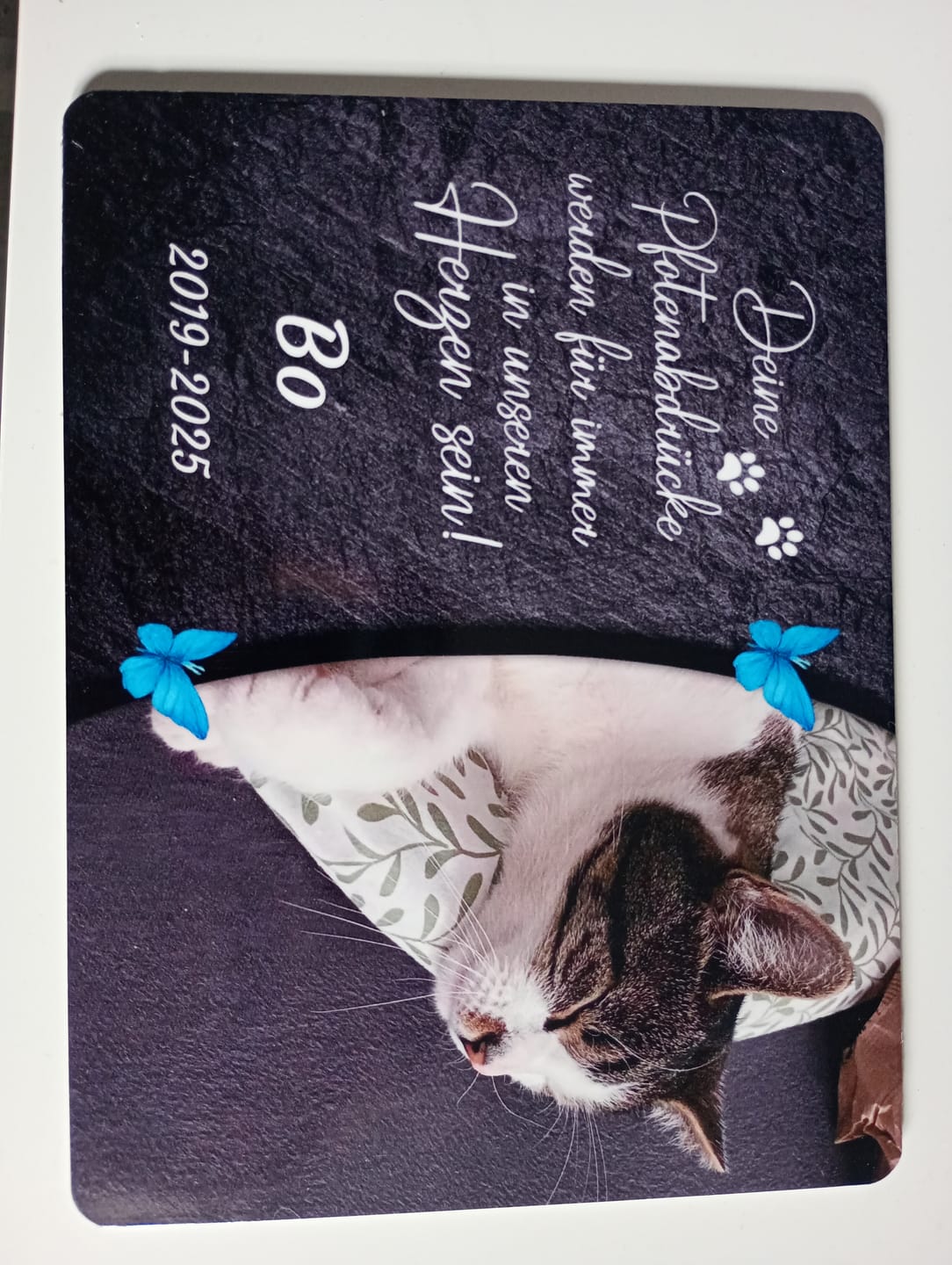 Customer photo review of Hunde Gedenktafel mit Foto & Spruch (UV- & Wetterfest)