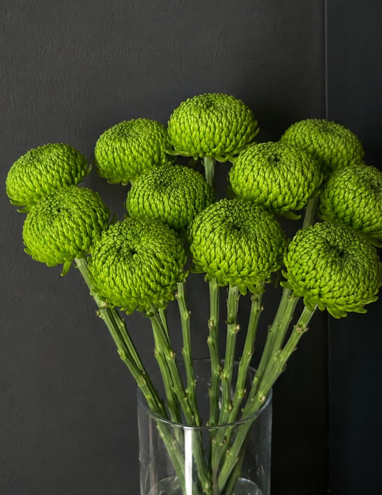 Customer photo review of Cremón Verde