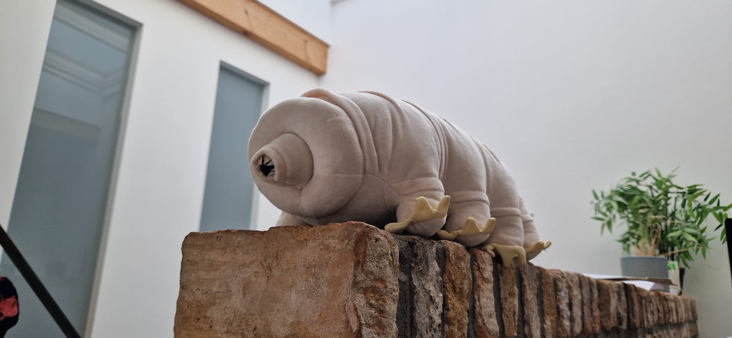 Customer photo review of Tardigrade Water Bear Soft Stuffed Plush Toy