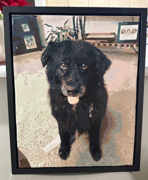 Customer photo review of Custom Paint By Numbers - Personalized Pet Portraits