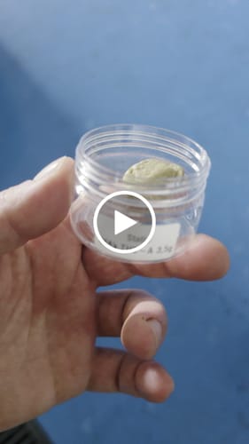 Customer video review of Static 45% THCA
